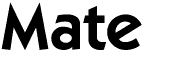 Mate WS