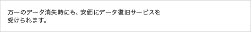 万一のデータ消失時にも、安価にデータ復旧サービスを受けられます。