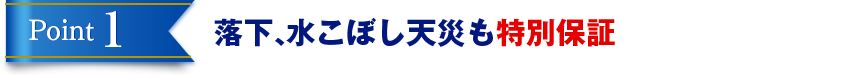 Point1 落下、水こぼし天災も特別保証
