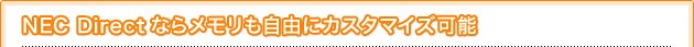 NEC DirectȂ烁RɃJX^}CY\