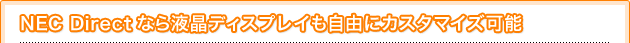 NEC DirectȂtfBXvCRɃJX^}CY\