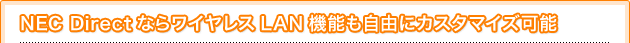 NEC DirectȂ烏CXLAN@\RɃJX^}CY\