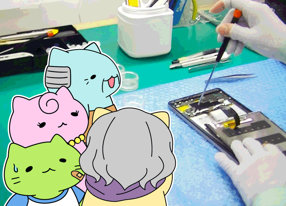 ピックとドライバーが活躍するディスプレイの交換だにゃ！