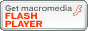 FLASH PLAYER_E[h