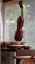 ViolinH[@V