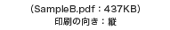 iSampleB.pdfF437KB ̌Fcj