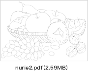 nurie2.pdfi2.59KBj