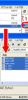 ʃC[W