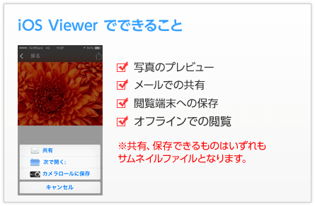 iOS Viewer でできること