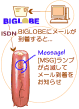 MSGvłm点