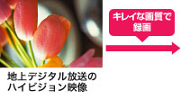 nfWnCrW掿Ř^悷