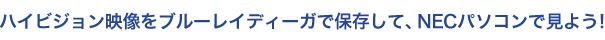 nCrWfu[CfB[KŕۑāANECp\RŌ悤I