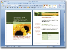 Microsoft(R) Office Word 2007