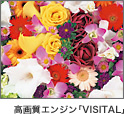 掿GWuVISITALv