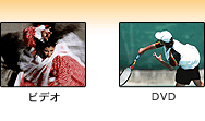 邢tʂAƑ̎ʐ^DVDAQ[LCɉK\B