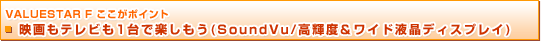 VALUESTAR F |Cg@fer1Ŋy(SoundVu/PxChtfBXvC)