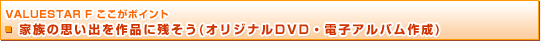 VALUESTAR F |Cg@Ƒ̎voiɎc(IWiDVDEdqAo쐬)