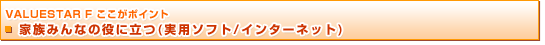 VALUESTAR F |Cg@Ƒ݂Ȃ̖ɗ(p\tg/C^[lbg)