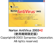 Norton AntiVirus 2003（使用期間限定版）