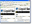 Liquid Surf(TM) Version 1.10