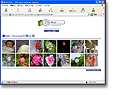 WEB�A���o��