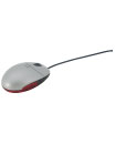 ZT[USB}EX (Vo[)