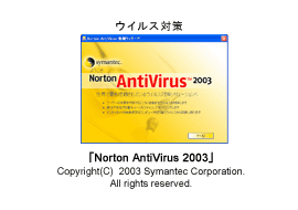 Norton AntiVirus 2003