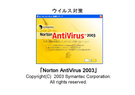 Norton AntiVirus 2003