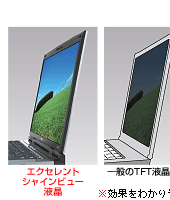 IPSeNmWɂ㉺E176ȏ̍Lp