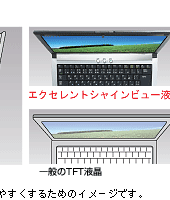 IPSeNmWɂ㉺E176ȏ̍Lp