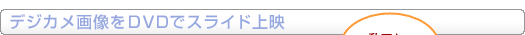 fWJ摜DVDŃXChf