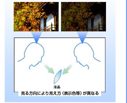 ɂ茩(\F)قȂ