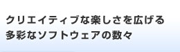 NGCeBuȊyL鑽ʂȃ\tgEFA̐X