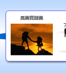 掿^