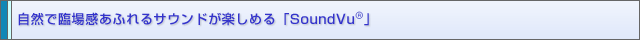 RŗՏꊴӂTEhy߂uSoundVuv