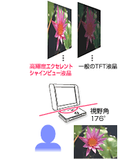 ���P�x�E�L����p�G�N�Z�����g�V���C���r���[�t��