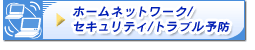 �z�[���l�b�g���[�N�^�Z�L�����e�B�^�g���u���\�h