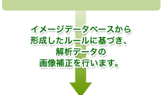 イメージデータベースから形成したルールに基づき、解析データの画像補正を行います。