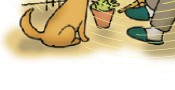 tJꏊAAVԁB@IgɂASoundVu(TEhr[)(TM)VoB