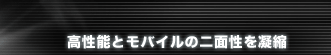 �����\�ƃ��o�C���̓�ʐ����Ïk
