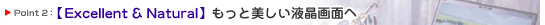 Point2FyExcellent  NaturalzƔtʂ