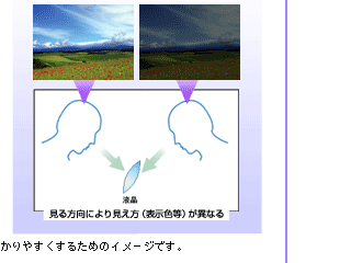 ɂ茩i\FjقȂ