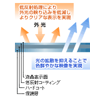 X[p[VCr[t