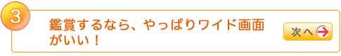 3.ӏ܂ȂAς胏ChʂI