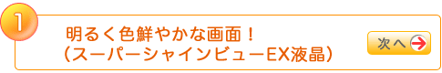 1.邭FN₩ȉʁIiX[p[VCr[EXtj
