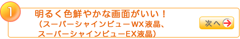 1 邭FN₩ȉʂIiX[p[VCr[WXtAX[p[VCr[EXtj