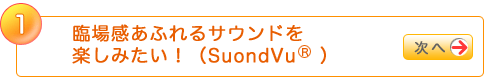 1 ՏꊴӂTEhy݂IiSuondVuiR)j