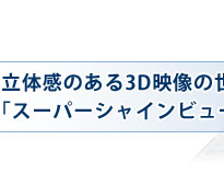 ̊̂3Df̐ĚłuX[p[VCr[3Dtv