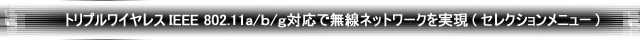 gvCXIEEE 802.11a/b/gΉŖlbg[N(ZNVj[)