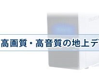 掿EȒnfW^ɑΉ